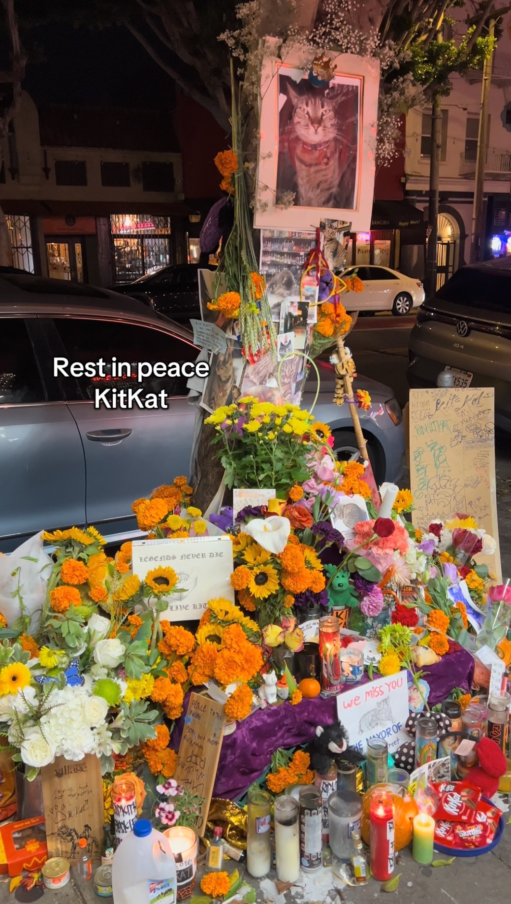 Rest in peace KitKat - Memorial with flowers and candles