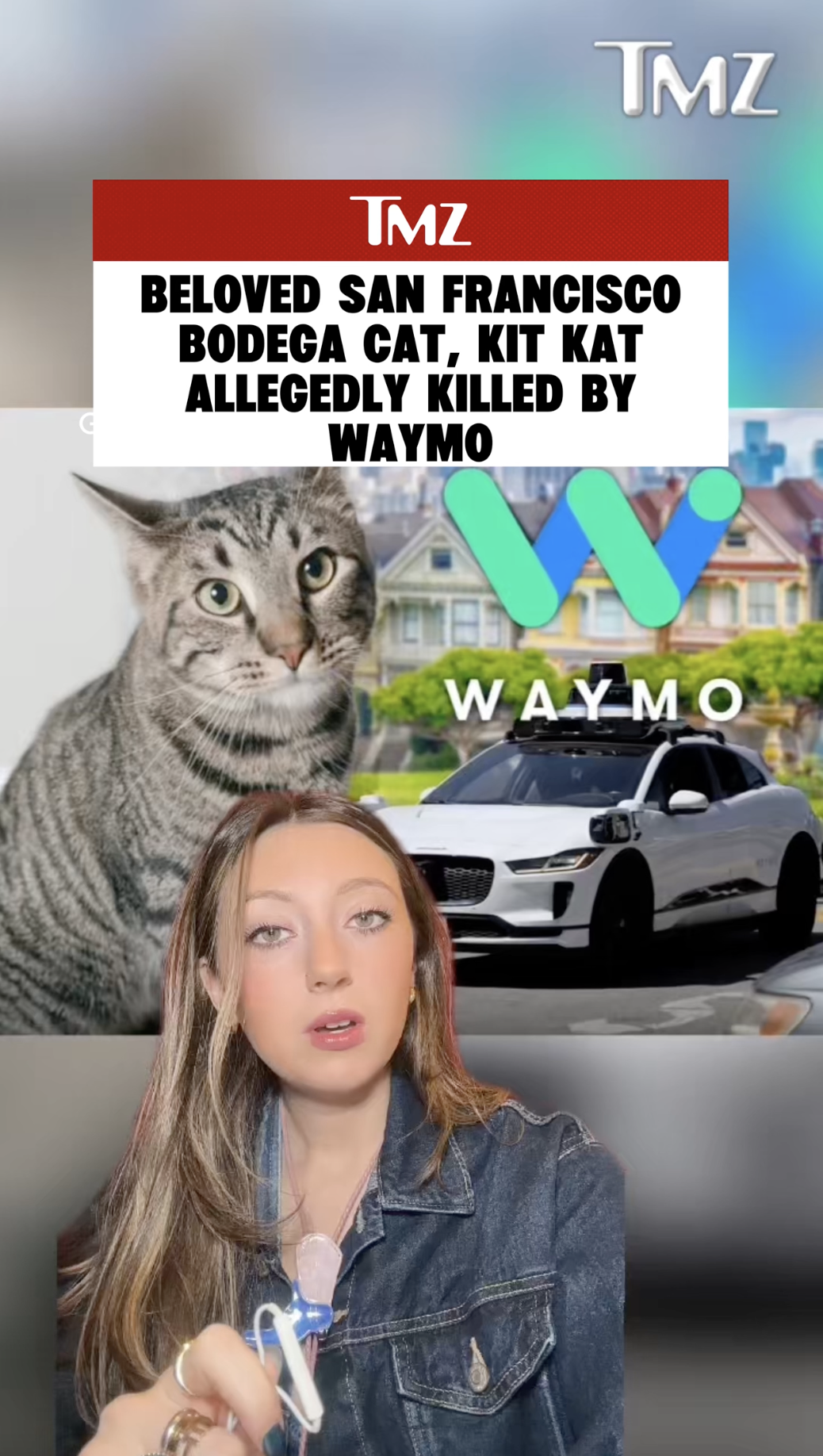 TMZ TikTok: Beloved San Francisco Bodega Cat Kit Kat Allegedly Killed By Waymo Robotaxi